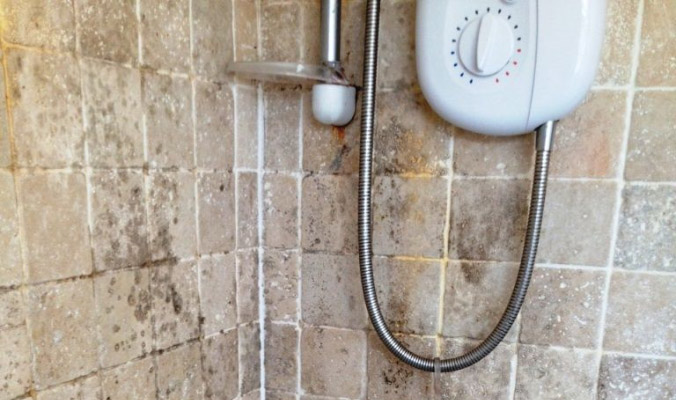 Shower Mould