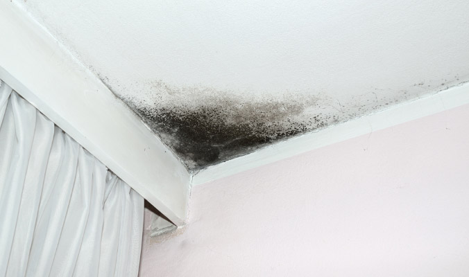 White Ceiling Mould