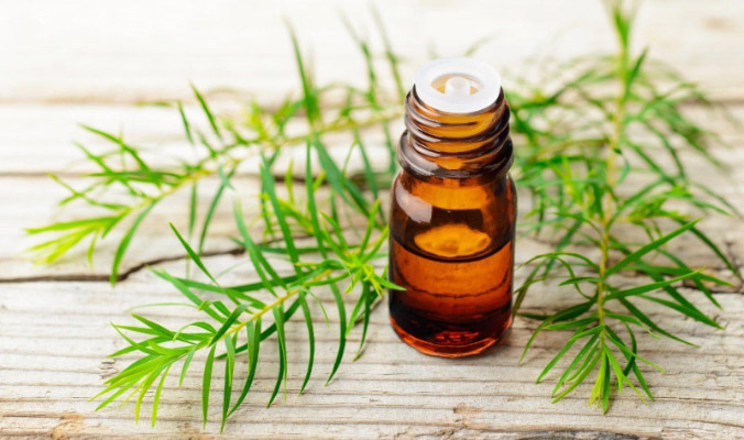 Tea Tree Essential Oil