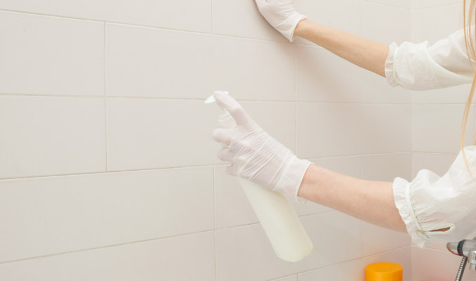 Grout Cleaner