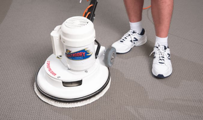 Electrodry Carpet Care for Pet 
 Owners - Annual Carpet Clean