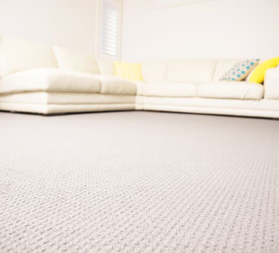 It Preserves The Appearance Of Your Carpet!