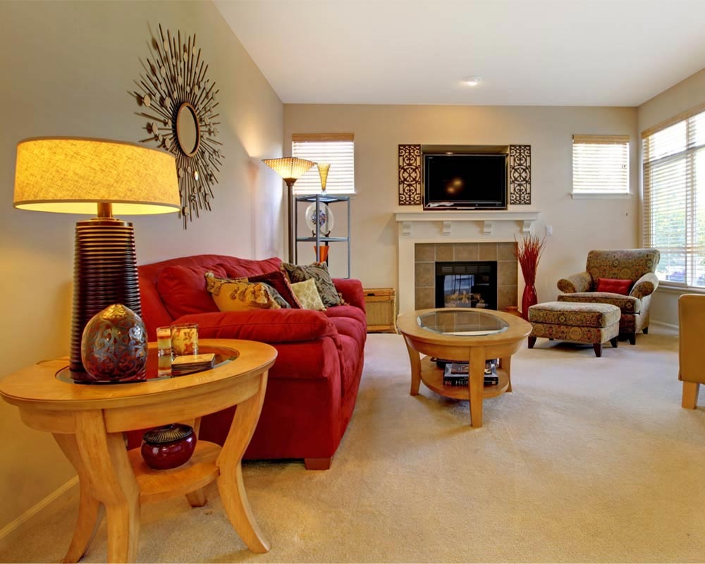 Electrodry Blog - I Will Create a healthy home