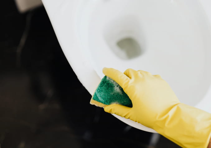 An Hand with Sponge Cleaning Toilet