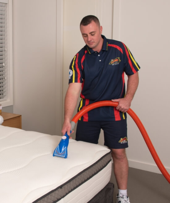 Electrodry Mattress Cleaning Technician Hot Water extraction