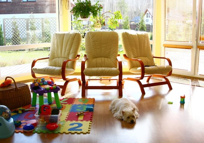 A Pet Puppy lying down on Wood Floors