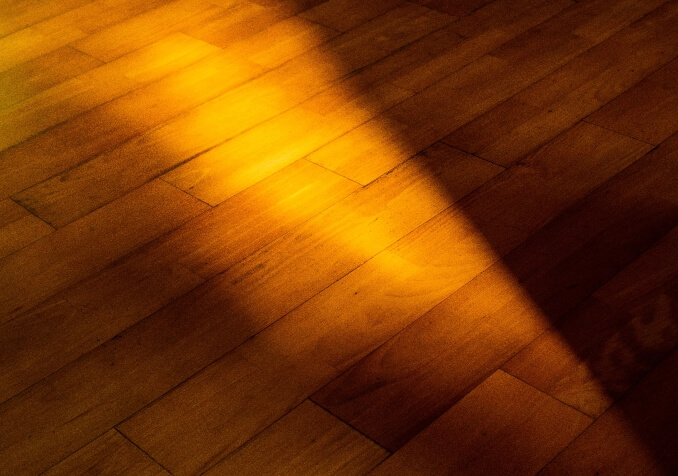 Direct Sunlight hitting Wood Floor