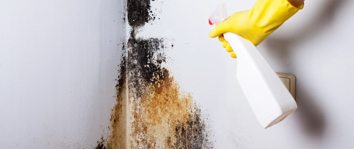 The 6 Best Tips to Prevent Mould