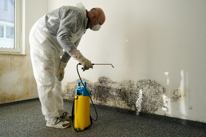 Technician Spraying on the Mould