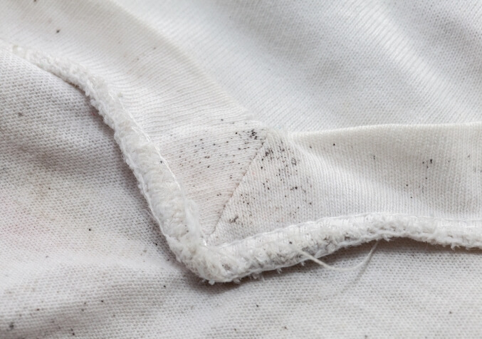 Mould in Clothes