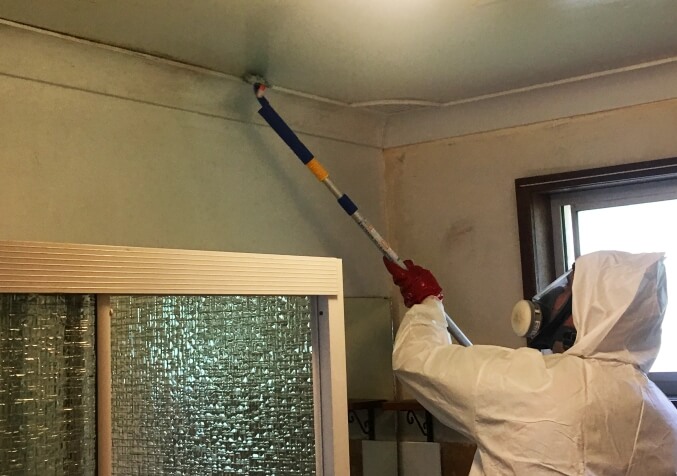 Mould Cleaning Technician Treating Mould