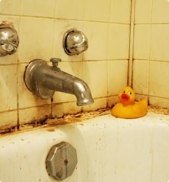 Mouldy Bathroom Wall and Tub