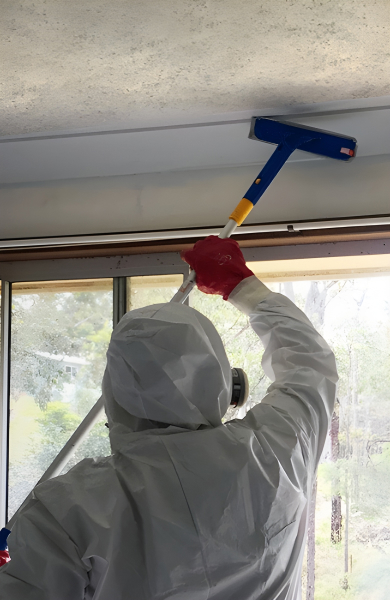 Electrodry Mould Cleaning Hero Image