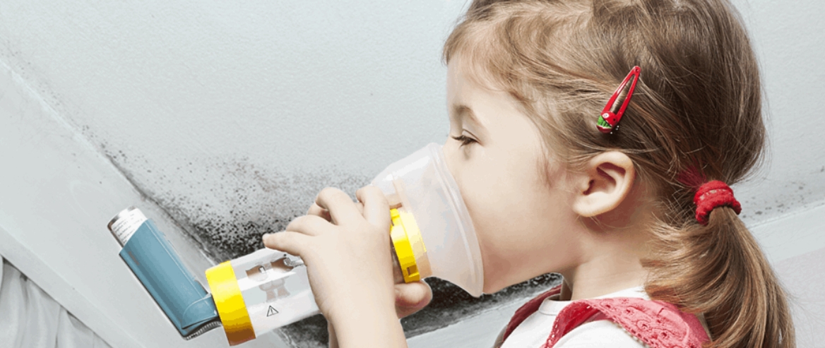 Why Mould Is So Bad for Us?