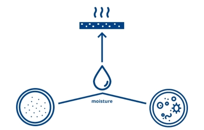Diagram of How Urine Smell Occurs