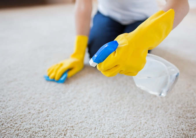 Woman Spot Treating Carpet