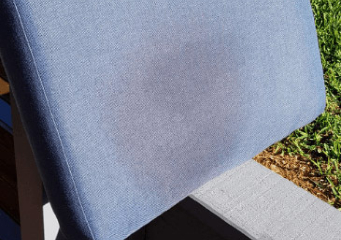 Blue Couch with Urine Stain