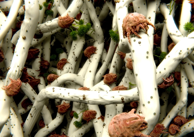 Rendering of dust mites in pillow