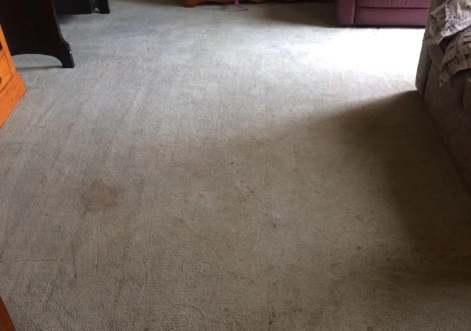 Dull Dirty Carpet