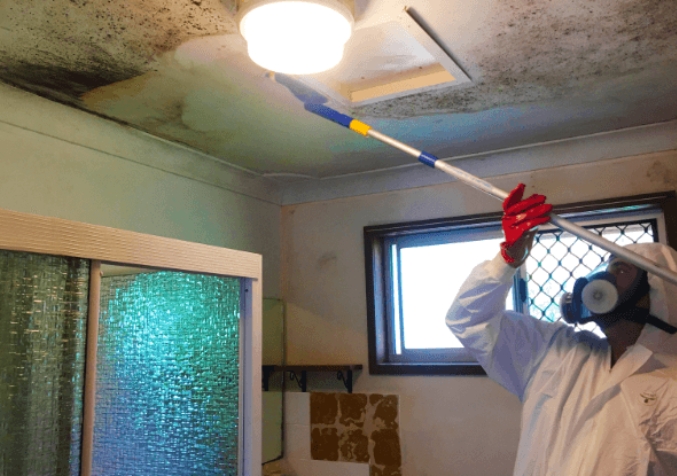 Man Fumigates Bathroom