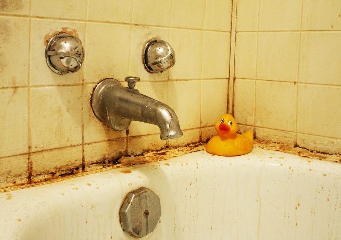 Mouldy Bathub Fixtures