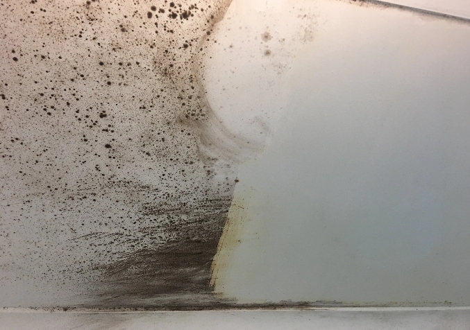 Moldy and clean ceiling in bathroom side by side