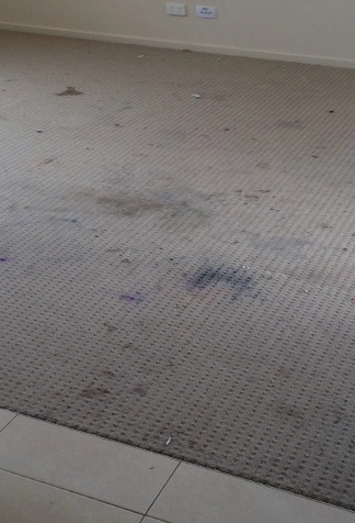 Dirty Carpet in a Room