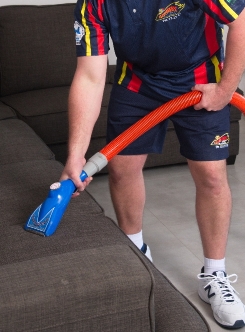 Cleaning Technician using Hot Water Extraction Method on Couch