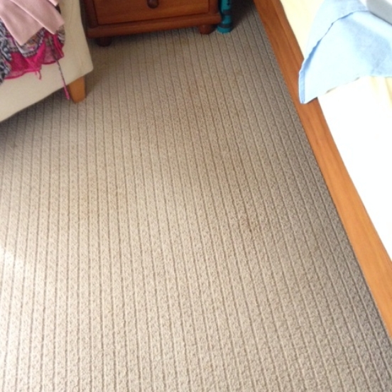 carpet-before