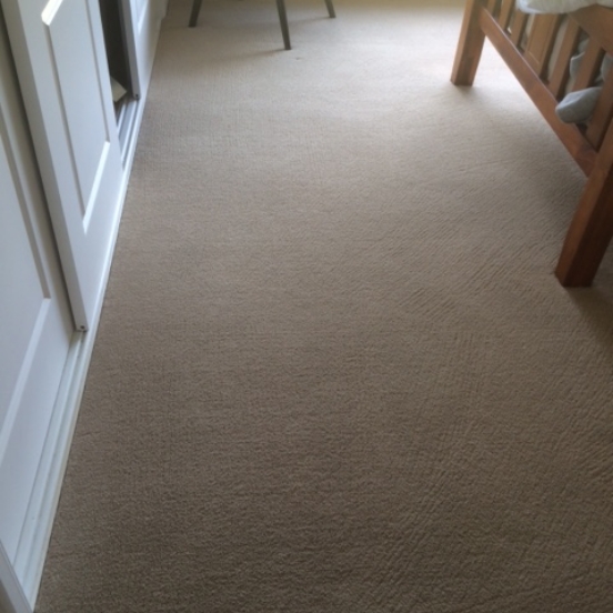 carpet-before