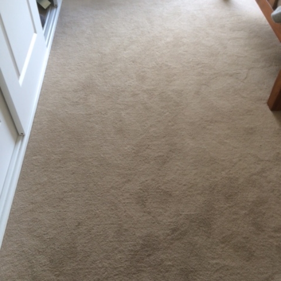 carpet-before