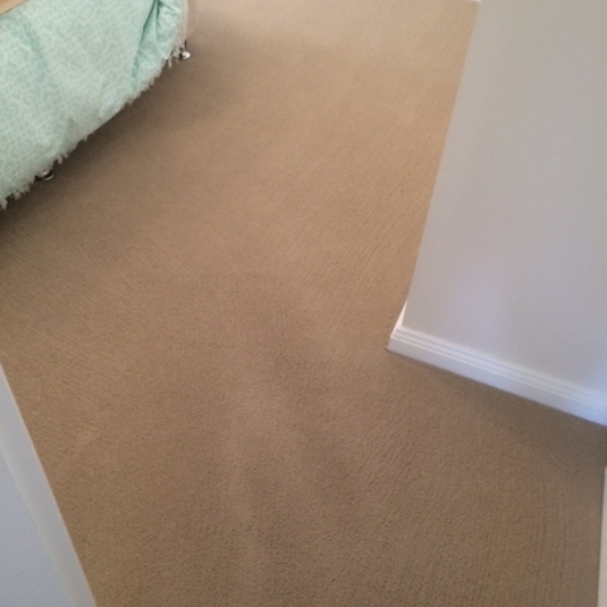 carpet-before