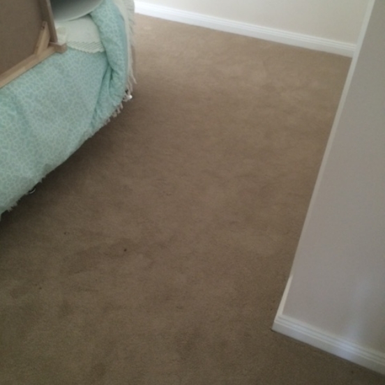 carpet-before