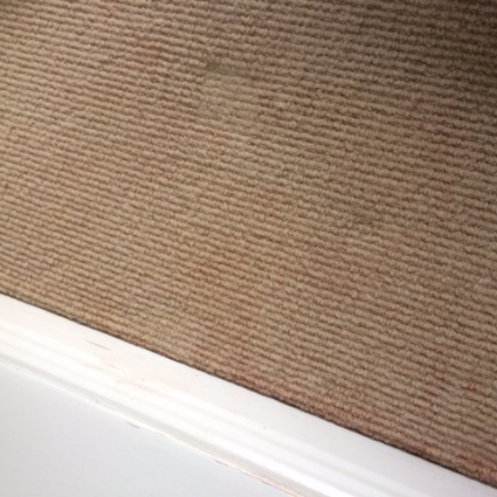 carpet-before
