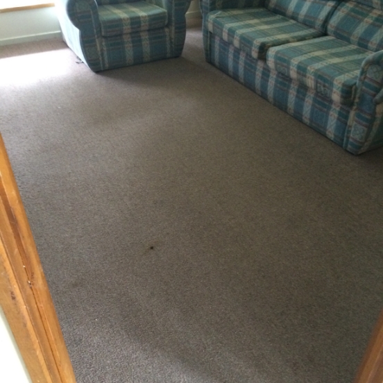 carpet-before