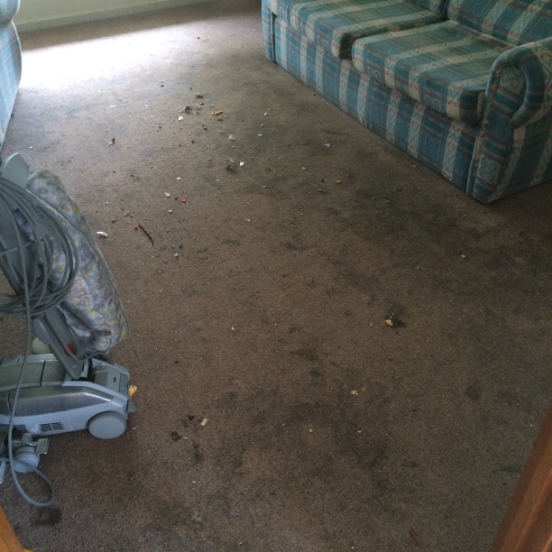 carpet-before