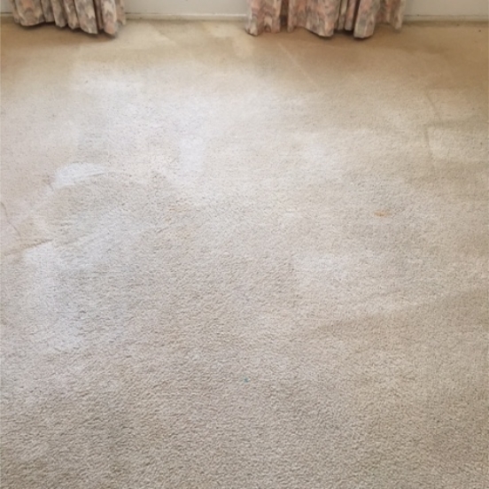 carpet-before