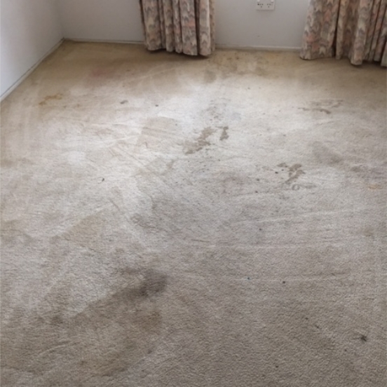 carpet-before