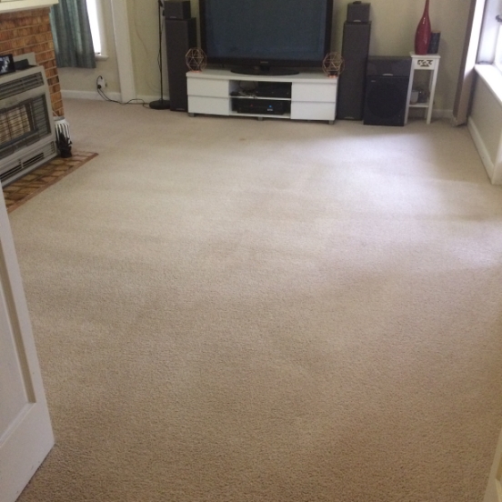 carpet-before