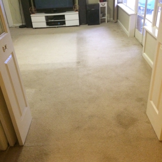 carpet-before
