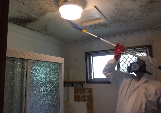 Electrodry Technician Wiping Mould of Bathroom Ceiling