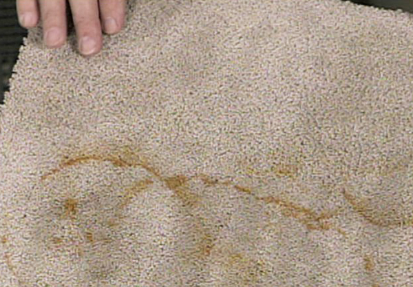 How To Remove a Rust Stain From Carpet