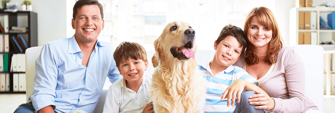 How to Remove Urine Odour from Carpet?