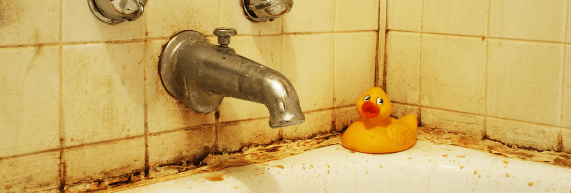 The Magic Bathroom Mould Cleaner You Can Make Yourself