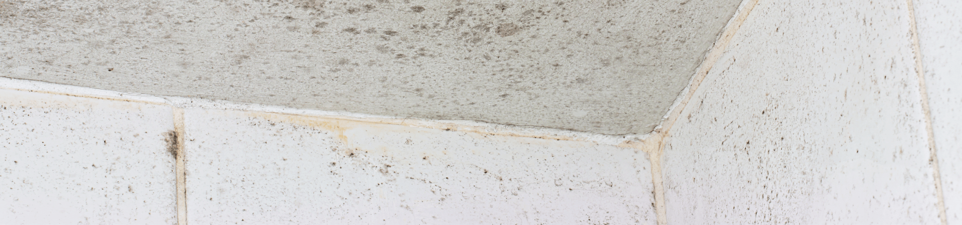 Kill Bathroom Mould Without Bleach