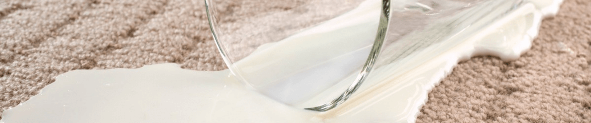 How To Remove A Milk Stain from Carpet