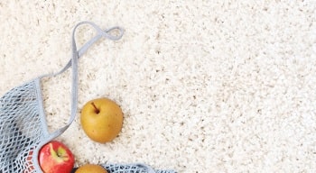 Electrodry Carpet Dry Cleaning Service