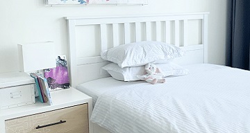 Electrodry Healthy Mattress Cleaning Service