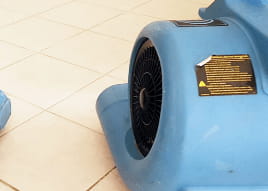 Electrodry Devonport Tile and Grout Services - Process Step 4