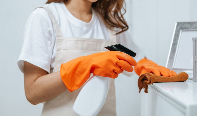 Gloves with Cleaning Cloth
